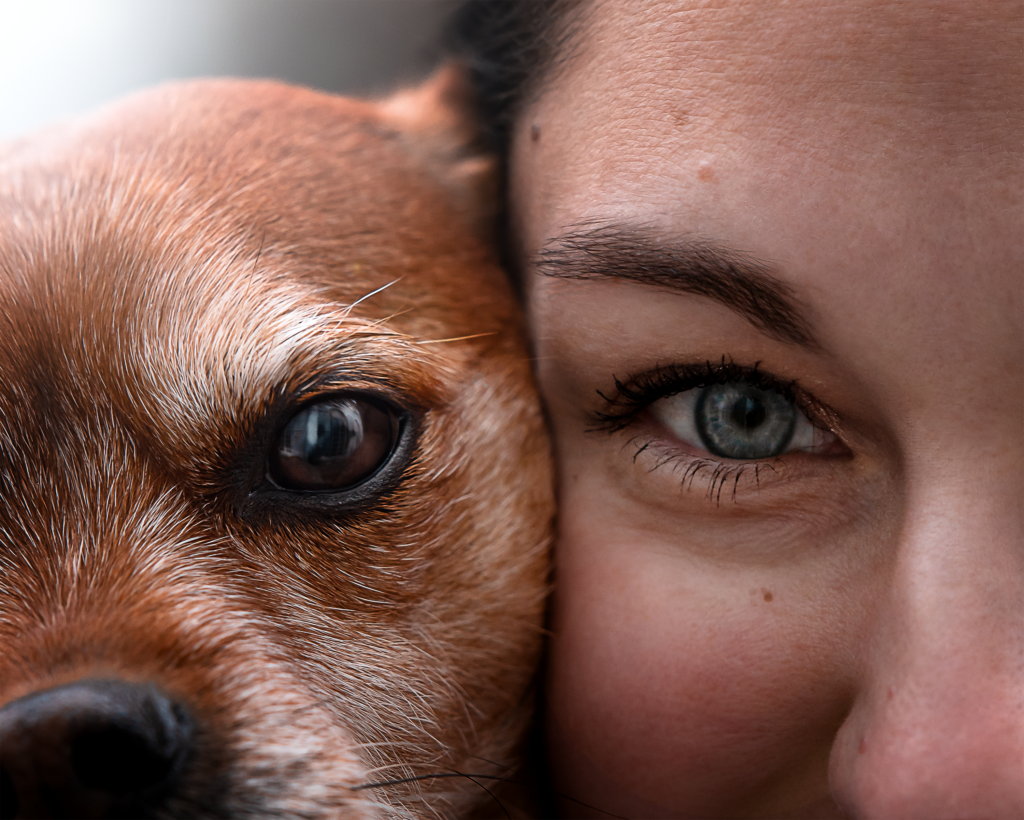 Tess-art Hundefotografie Hund- und Menschenauge